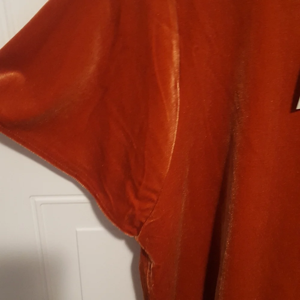 NWT MADEWELL BURNT ORANGE VELVET BUTTERFLY SLEEVE TOP M - Picture 4 of 7
